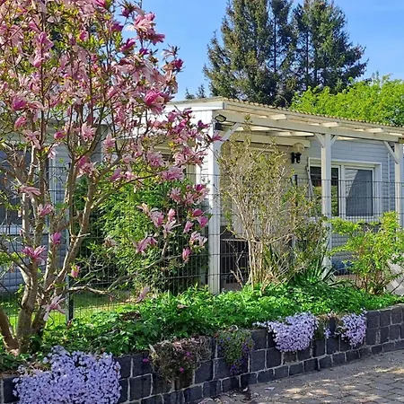 Sommer רברסהאגן